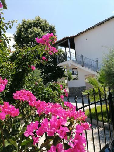 Apartamento Porto Sun