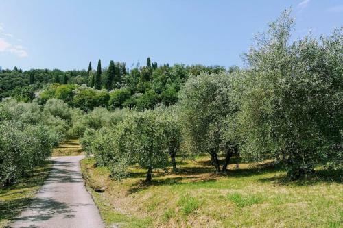Villa Farmhouse Cipresso 2