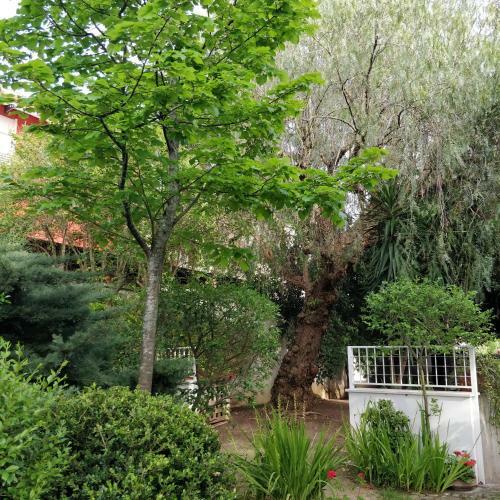 Maison Lumi�re Holiday Home