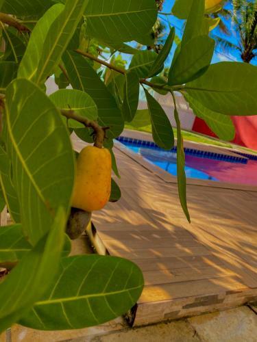 Beach House Barra