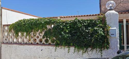 Apartamento Marzamemi Rent House