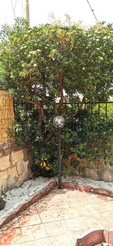 Apartamento Marzamemi Rent House