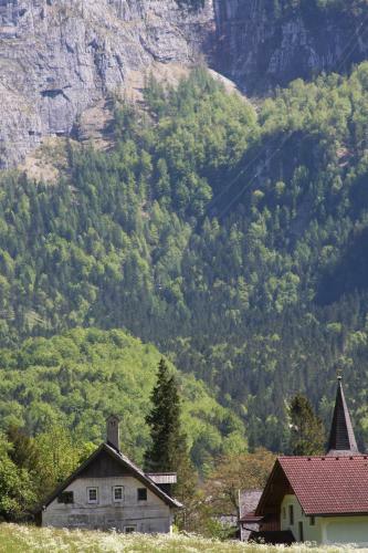 Bed & Breakfast Haus Salzkammergut