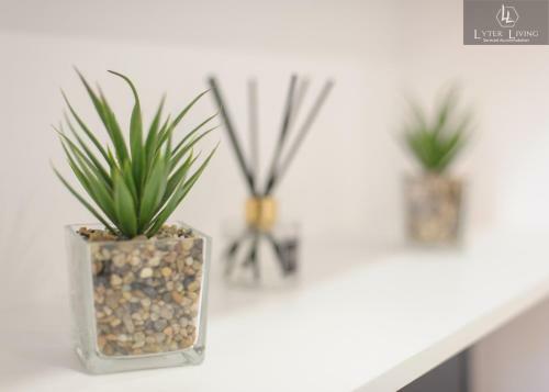 Studio Apartments By Lyter Living Serviced Accommodation With Desks & Wifi