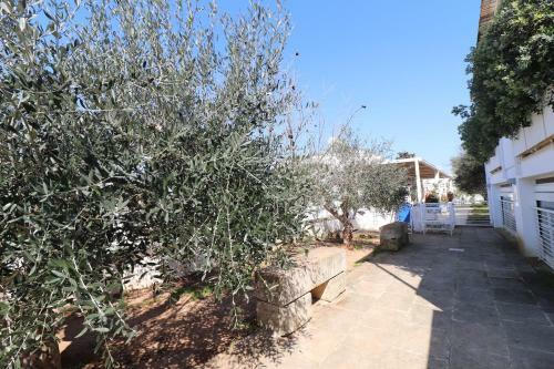 Casa Ginevra Lu Sule A Otranto