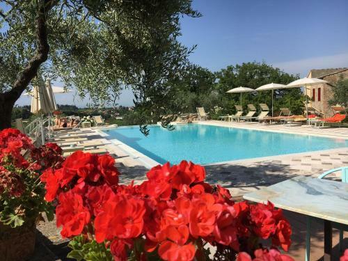 Agroturismo Podere Bellavista