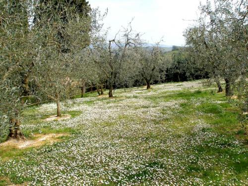 Agroturismo Podere Bellavista
