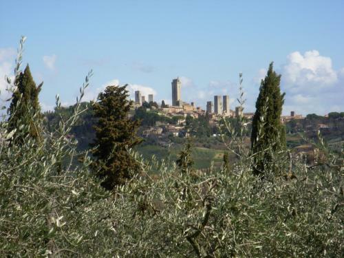 Agroturismo Podere Bellavista