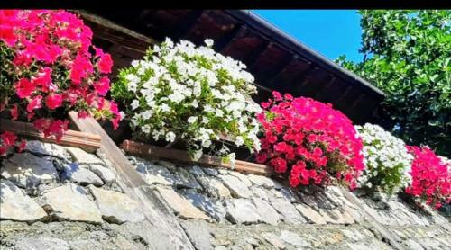Ulivella Holiday Home