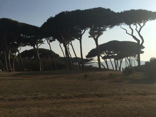 Podere Baloo Suvereto