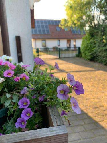 Apartamento Ferienwohnung Nationalpark