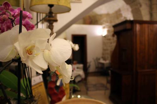 Bed & Breakfast S.andrea Degli Armeni Dimora Di Charme