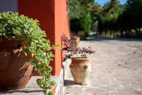 Luxury Villa Arianna
