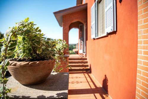 Luxury Villa Arianna