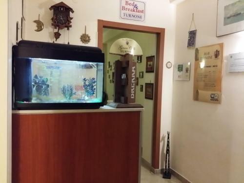 Hostal B&B Turnone