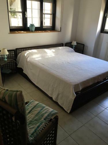 Villa Di Design Con Il Tetto Verde