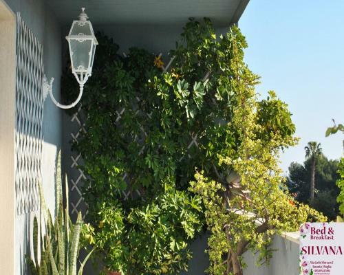 Bed And Breakfast Silvana