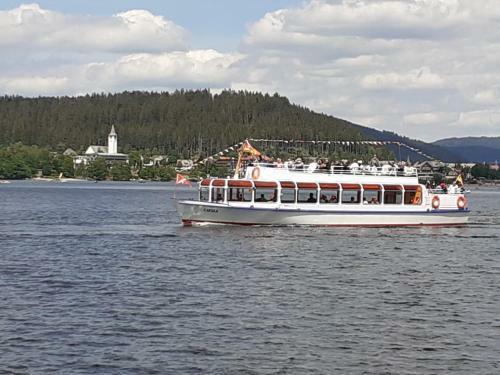 Apartamento Fewo Feldbergturmblick