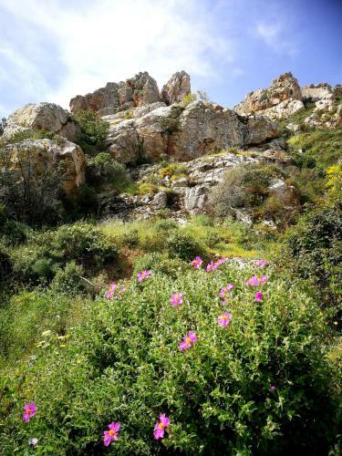 Apartamento Il Giardino All'angolo