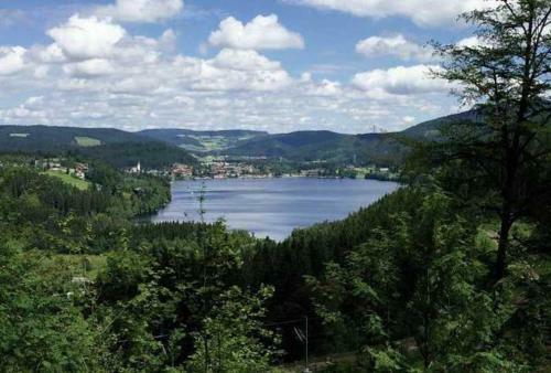 Apartamento Residenz Grafenmatt 1 2