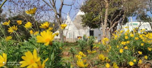 Estate Nel Trullo