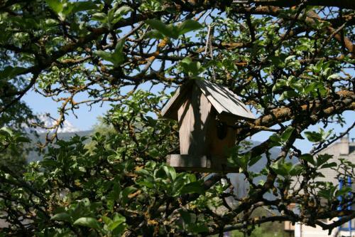 Apartamento Apperlehof