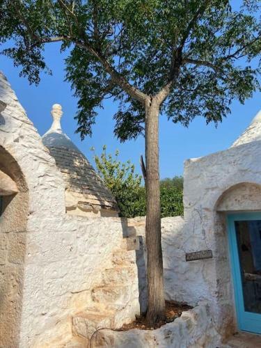 Villa Trulli Di Charme Eutuxia