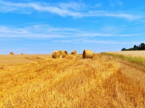 Apartamento Casa Dante