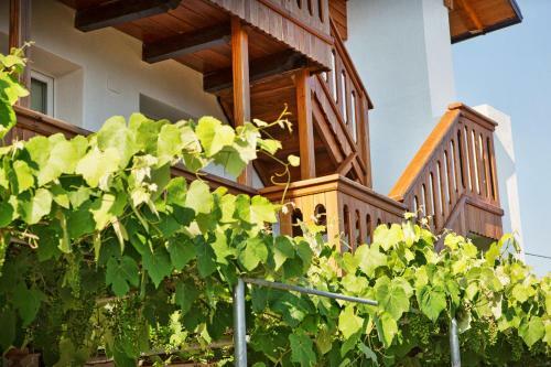 Aparthotel Albergo Diffuso "col Gentile" Socchieve