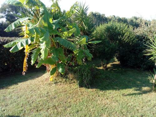 Apartamento Alghero - Grotte Di Nettuno Cortes