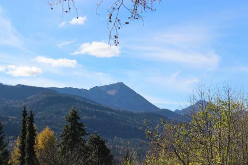 Apartamento Hochgallinger Hof