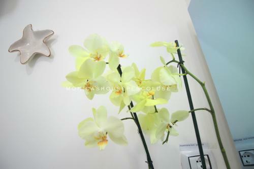 Apartamento Home Holiday Salento Monica's House Pescoluse