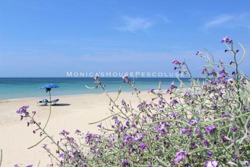 Apartamento Home Holiday Salento Monica's House Pescoluse