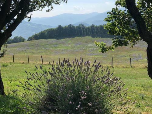 Apartamento Agriturismo Tenuta C� Di Bertucci
