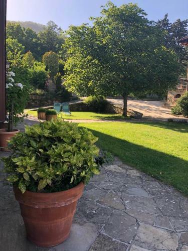 Apartamento Agriturismo Tenuta C� Di Bertucci