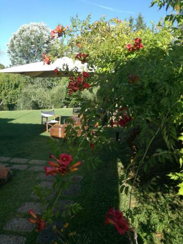 Agroturismo Agriturismo Campolungo
