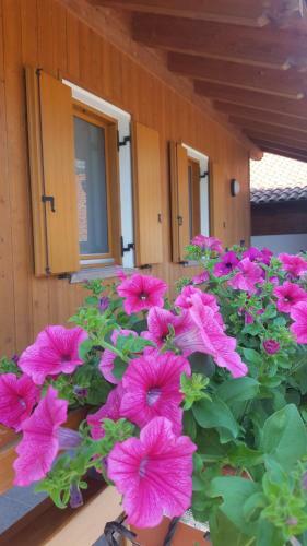 Agroturismo Agritur Clementi