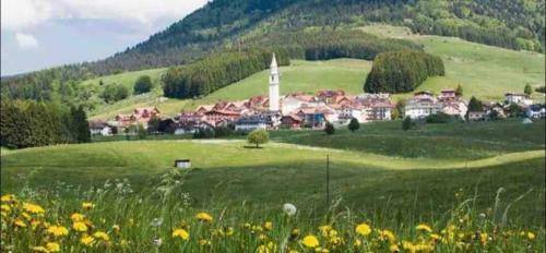 Apartamento Accogliente Appartamento, Altopiano Di Asiago