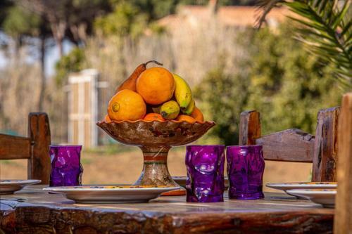Giannella Tuscany Holidays