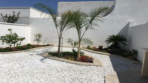 Hostal Albachiara