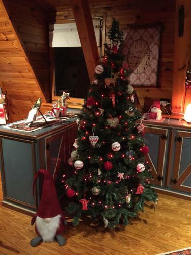 Chalet Alma