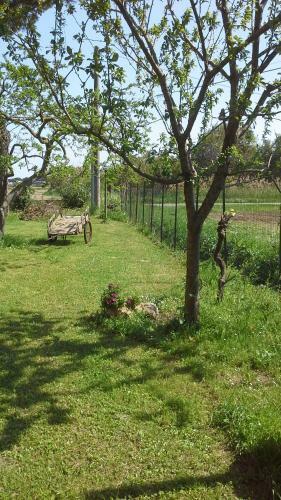 Hostal B&B Il Limone