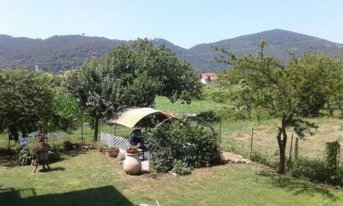 Hostal B&B Il Limone