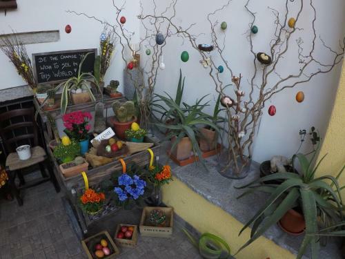 Apartamento My Little Italian Dream