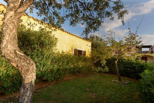 Residence Mirice - Three-room Apartment 6 Beds Id 61