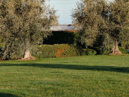 B&B Villa Letizia