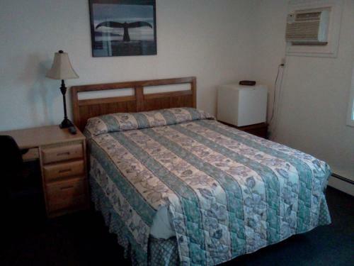 Motel Borealis Inn