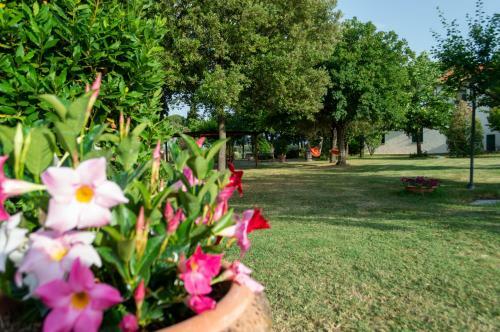Apartamento Agriturismo Agro Centorio