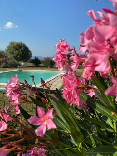 Apartamento Agriturismo Agro Centorio