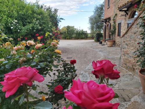 Apartamento Villa La Mucchia - Viola